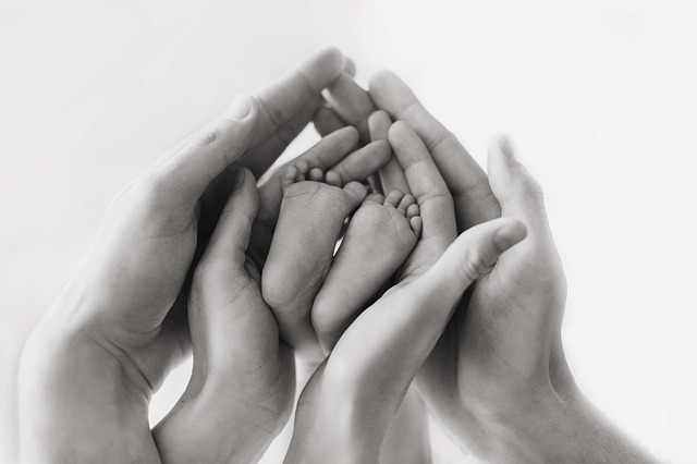Family Law