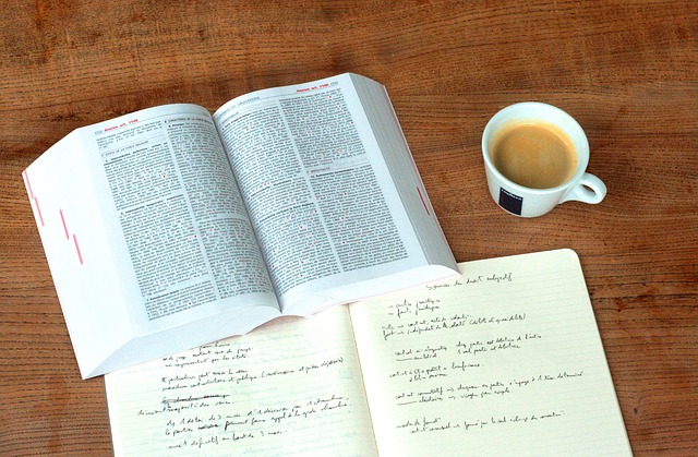 Civil Litigation